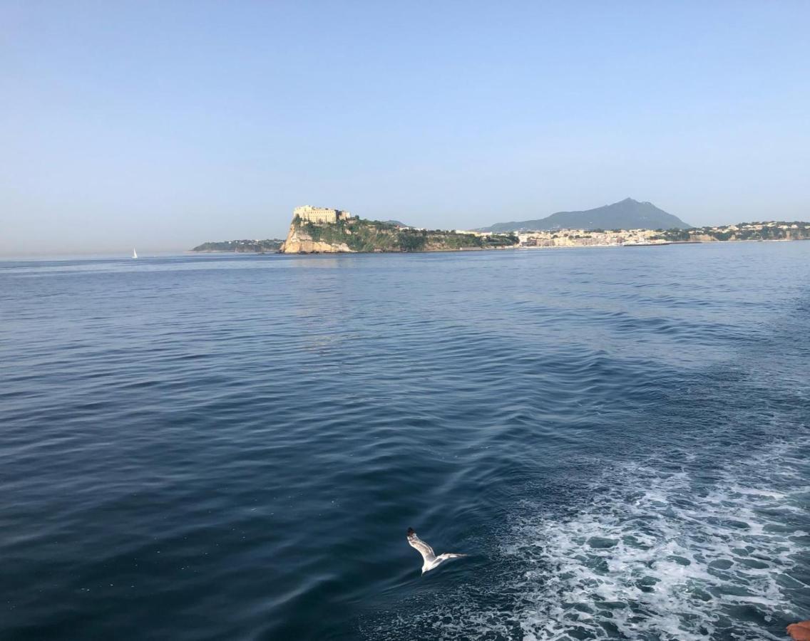 Bed and Breakfast Vento Di Mare Procida Zewnętrze zdjęcie